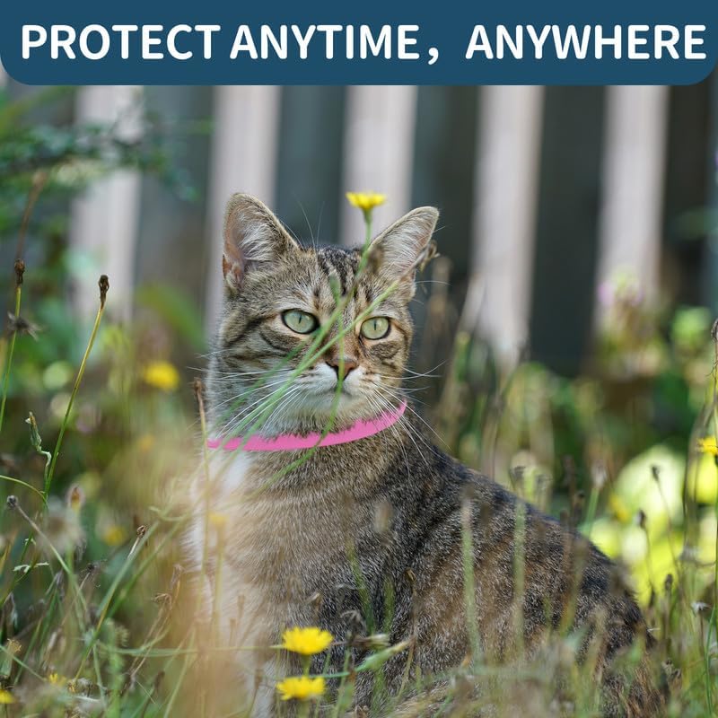 TeccFind- 4 Pack Cat Flea Collar- 8 month flea and tick protection per collar total 32 month package.
