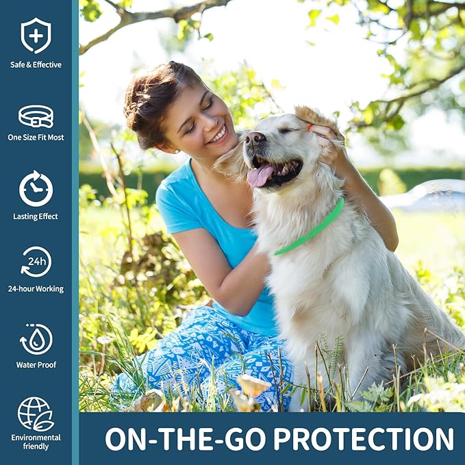 Enjoy Worry-Free Adventures with Your Pup!